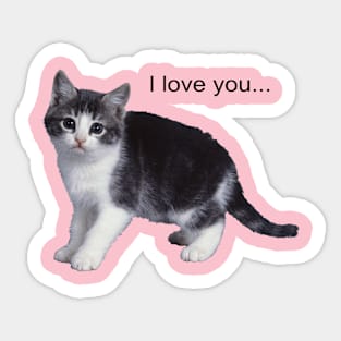 Valentine. Cat. I love you... Sticker